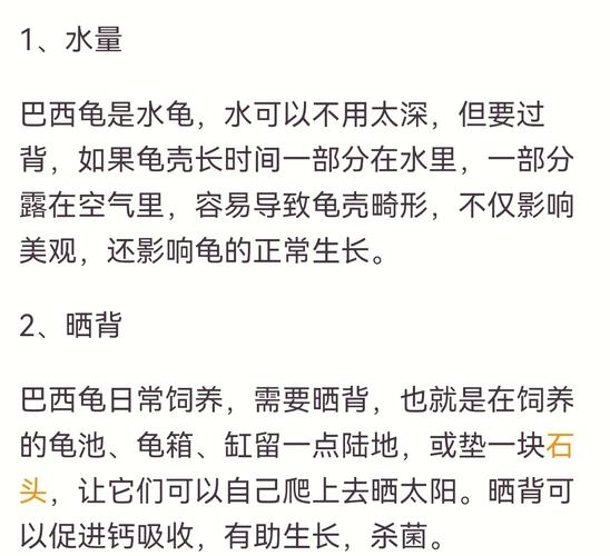 选伙伴，防抢食，大空间好水质（巴西龟可以放一起养吗）