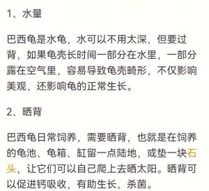 选伙伴，防抢食，大空间好水质（巴西龟可以放一起养吗）