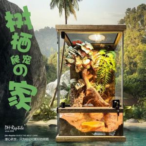 小缸养小鱼，简单治愈（玻璃缸适合养什么宠物）