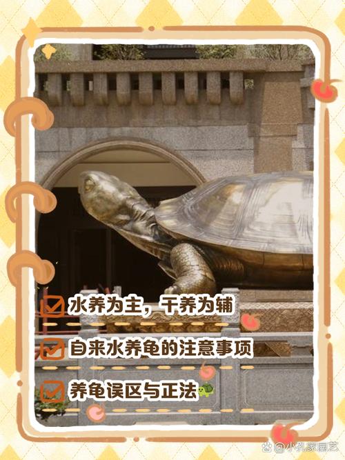乌龟冬季养护方法（小乌龟冬天干养还是在水里养）