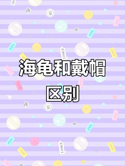 食性外形生活及繁殖差异（海龟和龟有什么区别）