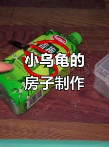 泡沫箱易跑龟，选对容器造舒适家（发泡网给乌龟做窝）