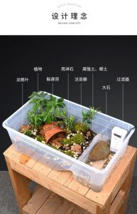 乌龟缸风水摆放方位与注意事项（乌龟缸摆放客体什么方向）