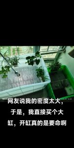 火山石做龟缸底砂好，护爪透气易打理（乌龟缸用火山石如何处理）