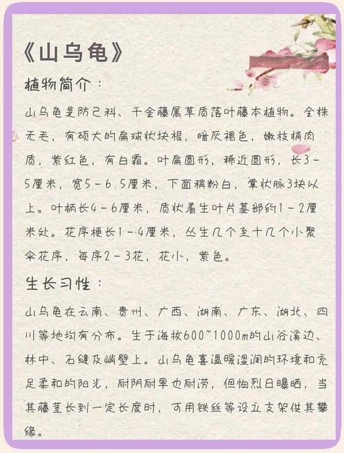 控温补水，分品种管理（山乌龟冬天怎么养）