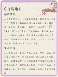控温补水，分品种管理（山乌龟冬天怎么养）