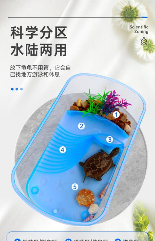 水位水温水质管理要点（冬季龟缸放多少水好）