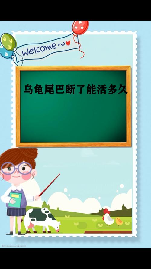 公龟尾断能繁殖吗？看伤势轻重！（公龟尾巴断了能繁殖吗）