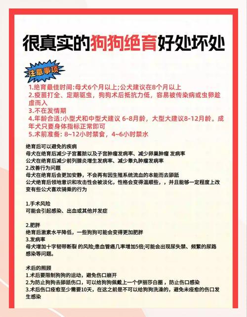 狗狗绝育后易胖需调整饮食，注意情绪变化和手术风险（绝育对狗的好处和坏处）