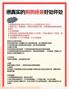 狗狗绝育后易胖需调整饮食，注意情绪变化和手术风险（绝育对狗的好处和坏处）