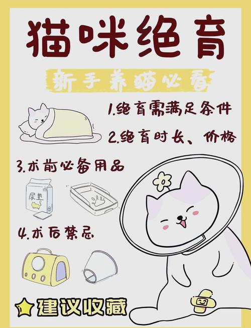 绝育猫好处多，健康亲人烦恼少（宠物猫咪绝育的好处和坏处）