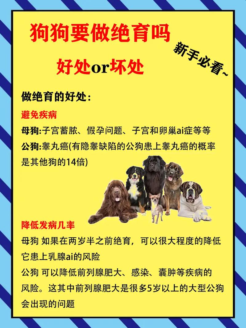绝育犬好处多弊端不能忘，主人需权衡利弊（给狗做绝育有什么好处和坏处）