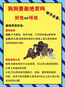 绝育犬好处多弊端不能忘，主人需权衡利弊（给狗做绝育有什么好处和坏处）