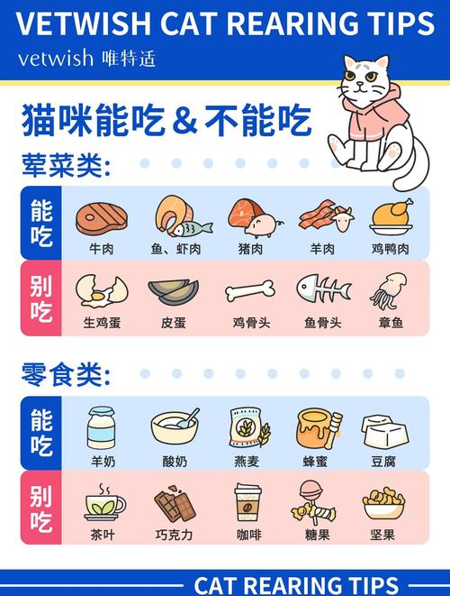 猫咪十大禁忌食物，赶紧了解下！（猫咪十大禁忌食物）