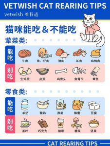 猫咪十大禁忌食物，赶紧了解下！（猫咪十大禁忌食物）