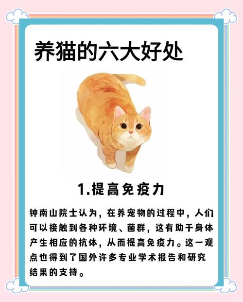 母猫绝育好处多，健康寿命都提升（母猫绝不绝育有什么好处和坏处）