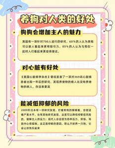 狗狗治愈人心，降病减压增健康（养小狗的好处）
