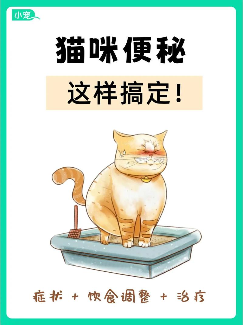 猫咪便秘怎么办？饮食运动来调理（猫咪总是便秘湿粮也吃了）