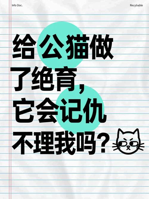 绝育公猫变粘人？短期记忆弱不记恨主（公猫做了绝育会恨主人吗）