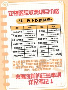 成都公狗绝育费含检查麻醉护理，吸入式贵，术后消炎止痛约200-800元（成都给公狗做绝育手术费用）