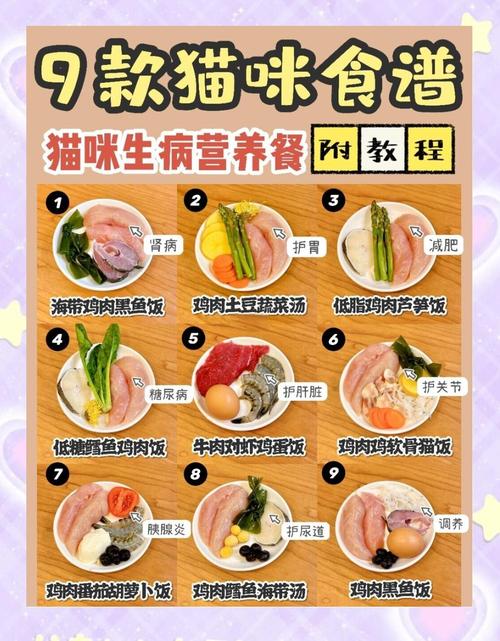 母乳奶粉到辅食如何科学喂养（没断奶的猫除了奶粉可以吃什么）