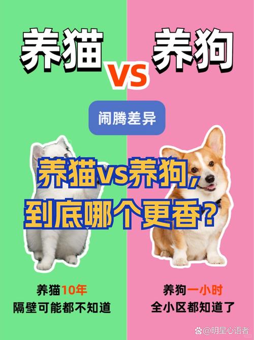 猫咪狗狗不绝育危害大，及时手术更健康！（狗狗和猫猫不绝育哪个危害大）