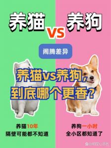 猫咪狗狗不绝育危害大，及时手术更健康！（狗狗和猫猫不绝育哪个危害大）