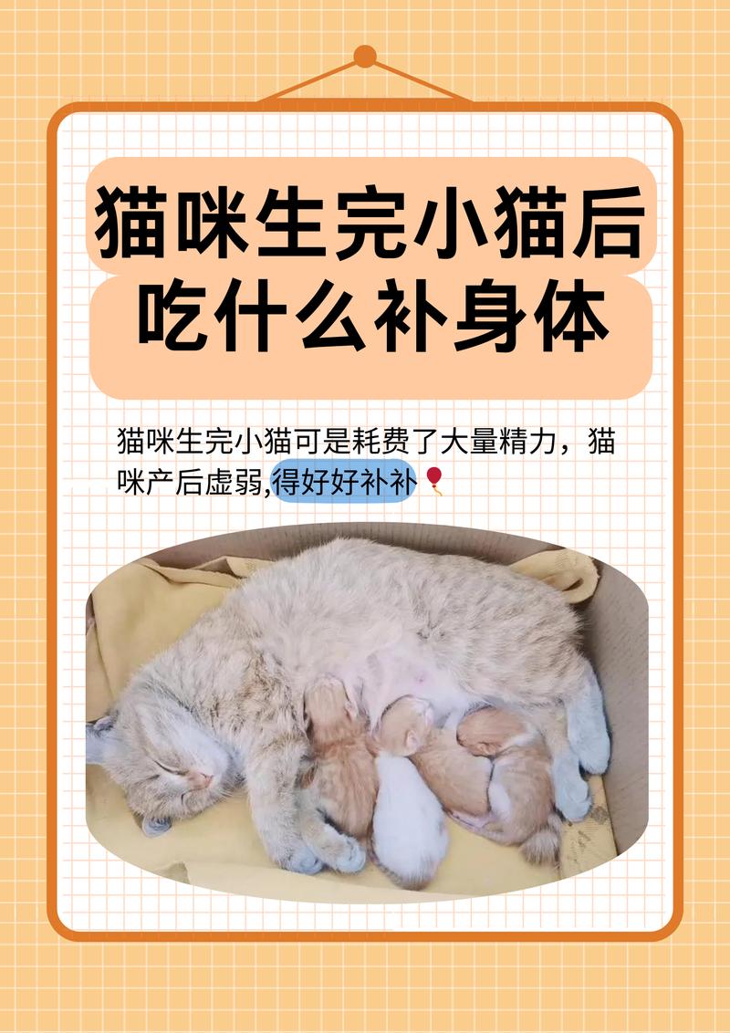 小猫能吃鸡蛋黄，助成长，蛋白风险大，壳不能吃（小猫吃鸡黄好还是蛋白好）
