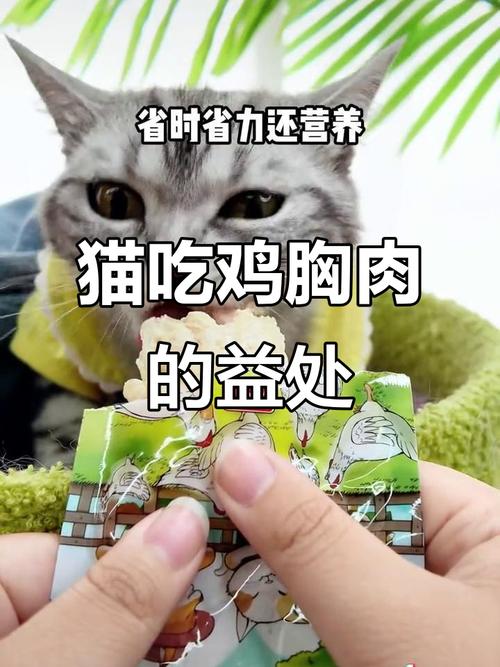 鸡肉菠菜营养好，猫咪小狗适量喂（小猫吃鸡胸肉的好处和坏处）