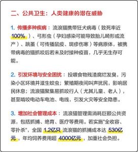 流浪猫危害多，生态扰民需科学治理（猫流浪对生态好坏）
