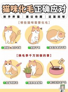 多种方法助猫咪化毛，预防毛球（猫化毛的最佳方法有哪些）