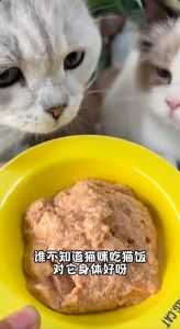 幼猫湿粮选对料，高蛋白健康好！（幼猫湿粮）
