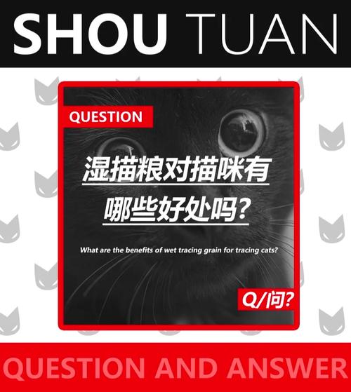 猫咪爱吃湿粮不吃干粮怎么办？（猫咪只吃湿粮不吃干粮怎么办）