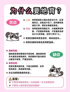 猫狗绝育有别，预防疾病各有侧重（母犬与母猫绝育的区别）
