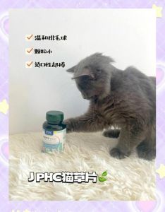猫咪掉毛多？科学排毛勤梳毛，轻松应对换季掉毛（猫咪排毛用哪种方法最好）