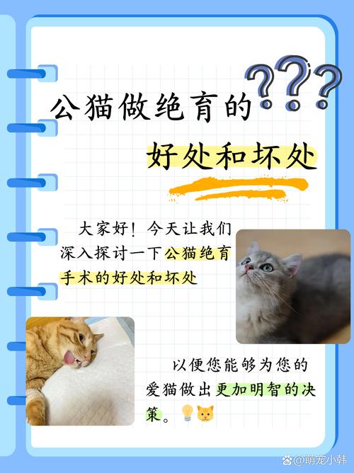 绝育公猫变温顺，减少夜嚎乱尿，注意饮食防胖（绝育对公猫的好处和坏处）