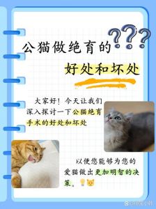 绝育公猫变温顺，减少夜嚎乱尿，注意饮食防胖（绝育对公猫的好处和坏处）