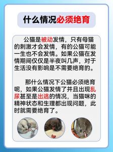 产后俩月再绝育，母猫健康有保障（猫没有回完奶可以绝育吗）