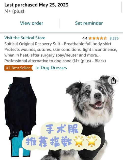 利弊要权衡（小狗绝育的好处坏处公狗10个月）
