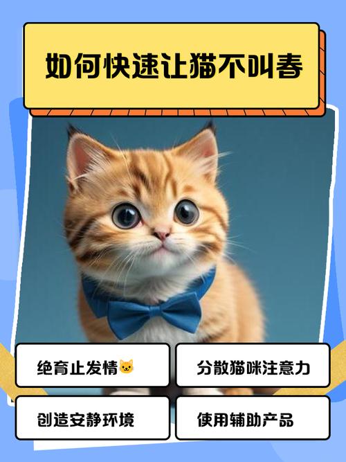春季猫咪发情嚎叫乱尿？试试这几招！（猫咪闹春最快解决方法）
