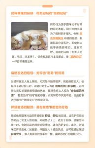 猫咪踩奶原因及注意事项（小猫经常踩奶的好处和坏处）