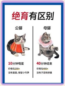 公猫绝育好处多，健康快乐少烦恼（男猫做绝育的好处和坏处）