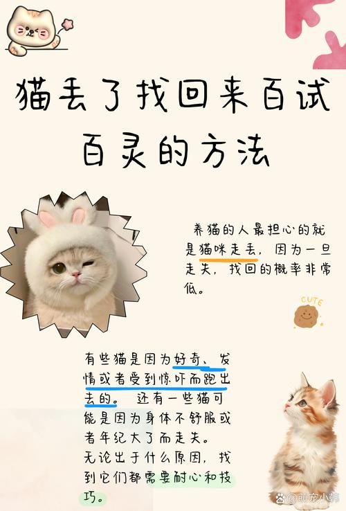 寻猫别追！深夜放气味衣物猫粮是好方法（猫跑出去了怎么用最快的方法让他们回来）