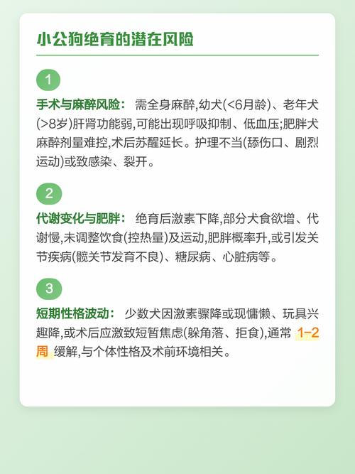 公狗绝育利弊多，改善行为但需权衡风险（公狗做绝育好处和坏处）
