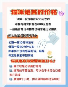 猫咪绝育好处多，健康快乐寿命长！（给猫咪绝育的好处和坏处）