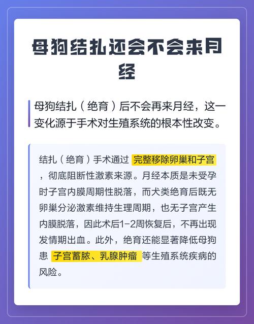 母狗结扎更温顺，健康风险低，但要注意饮食防胖（母狗结扎的好处和坏处）