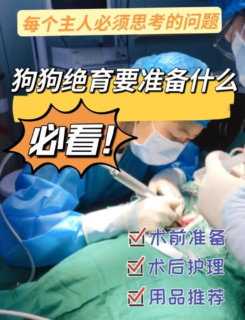 利弊分析，如何选择？（狗狗一定要绝育吗）