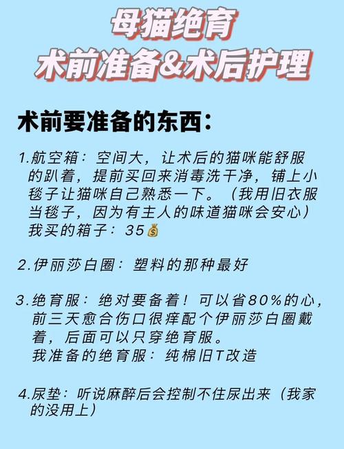小猫绝育费用800-2000元，选对医院很重要！（小母猫绝育手术多少钱）