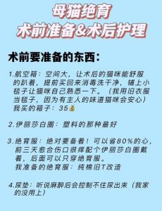 小猫绝育费用800-2000元，选对医院很重要！（小母猫绝育手术多少钱）