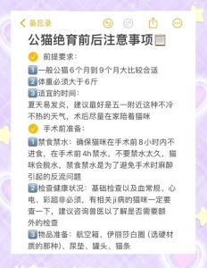 绝育小猫利弊权衡，费用与好处要知道！（小猫绝育的好处和坏处）